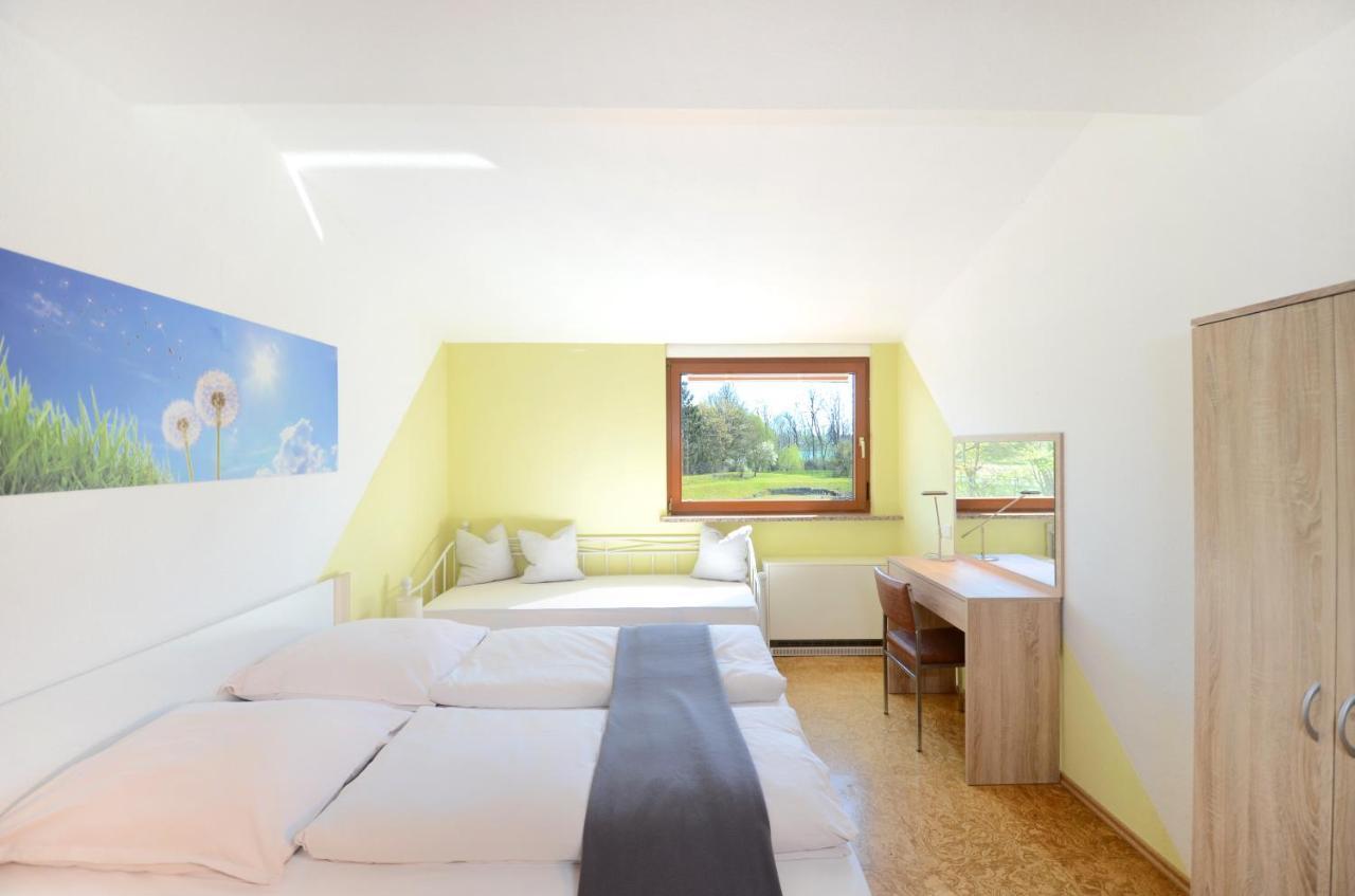 Flat Strasbourg - Europapark / Wallaston اوفنبرغ المظهر الخارجي الصورة